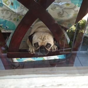 Meet your Posher, Luis